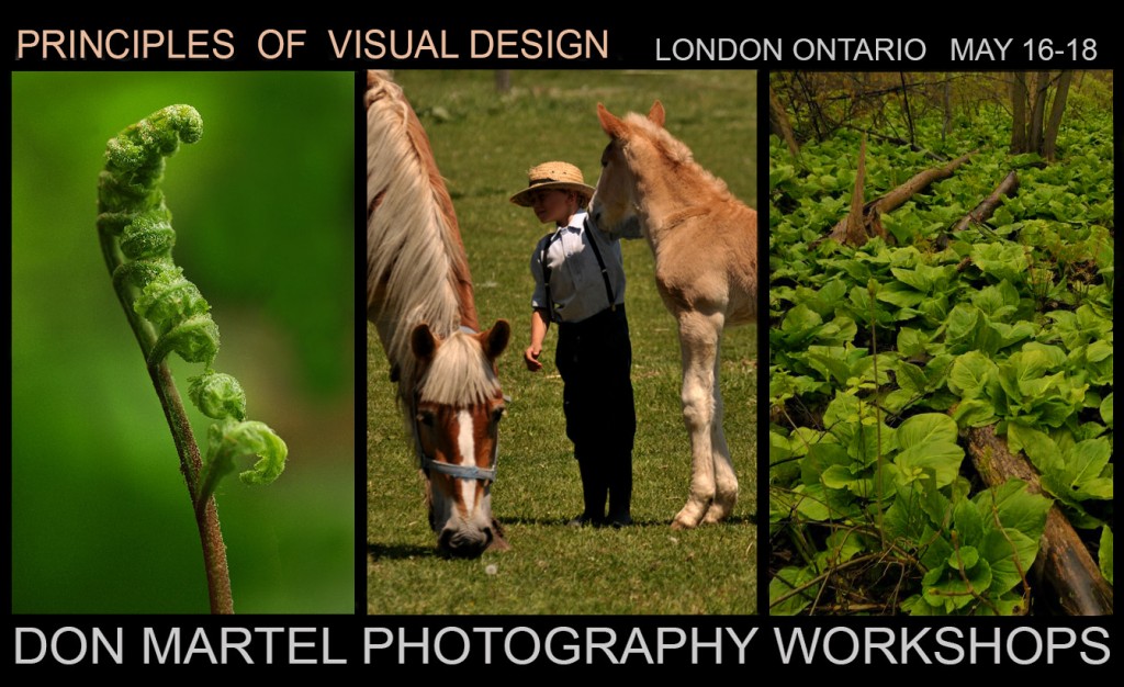 Don Martel Photography Workshops - london